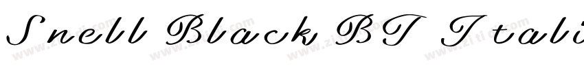 Snell Black BT Itali字体转换